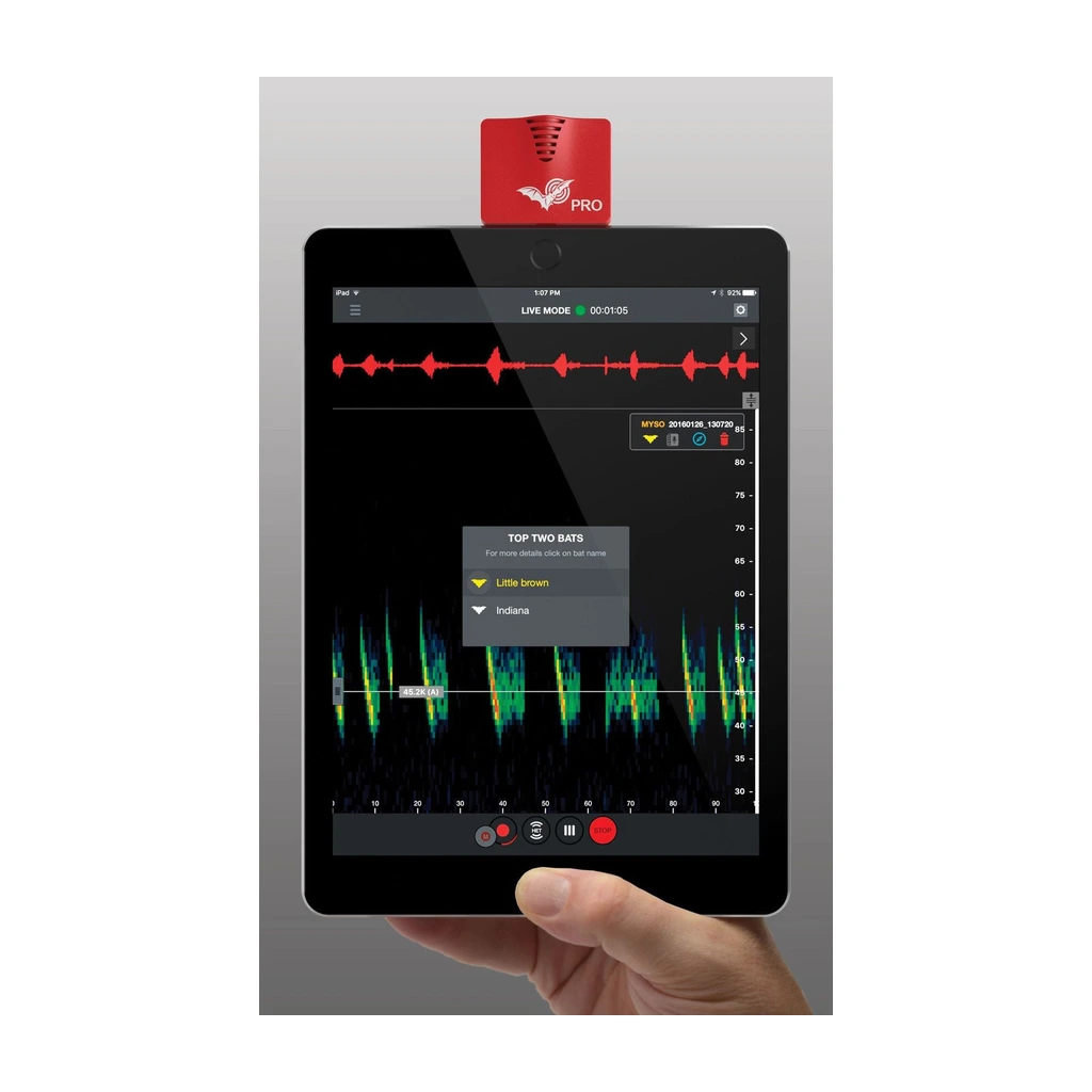 AFFORDA Ultrasonic Wildlife Detector